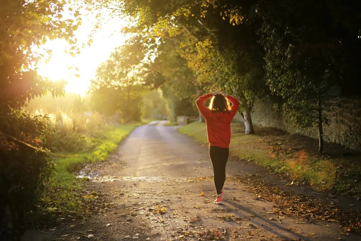 Neurological & Vestibular Rehab
