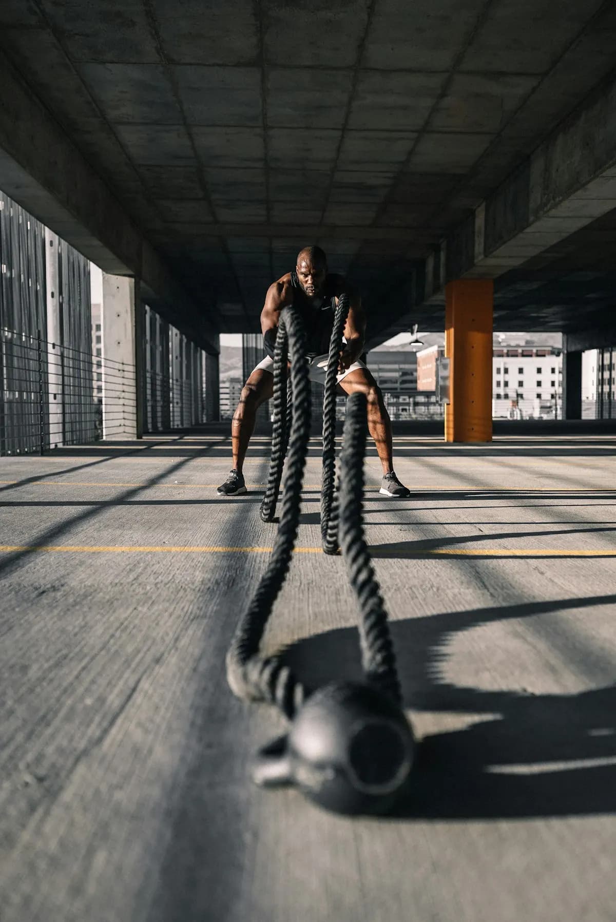 Balance & Stability Trainers