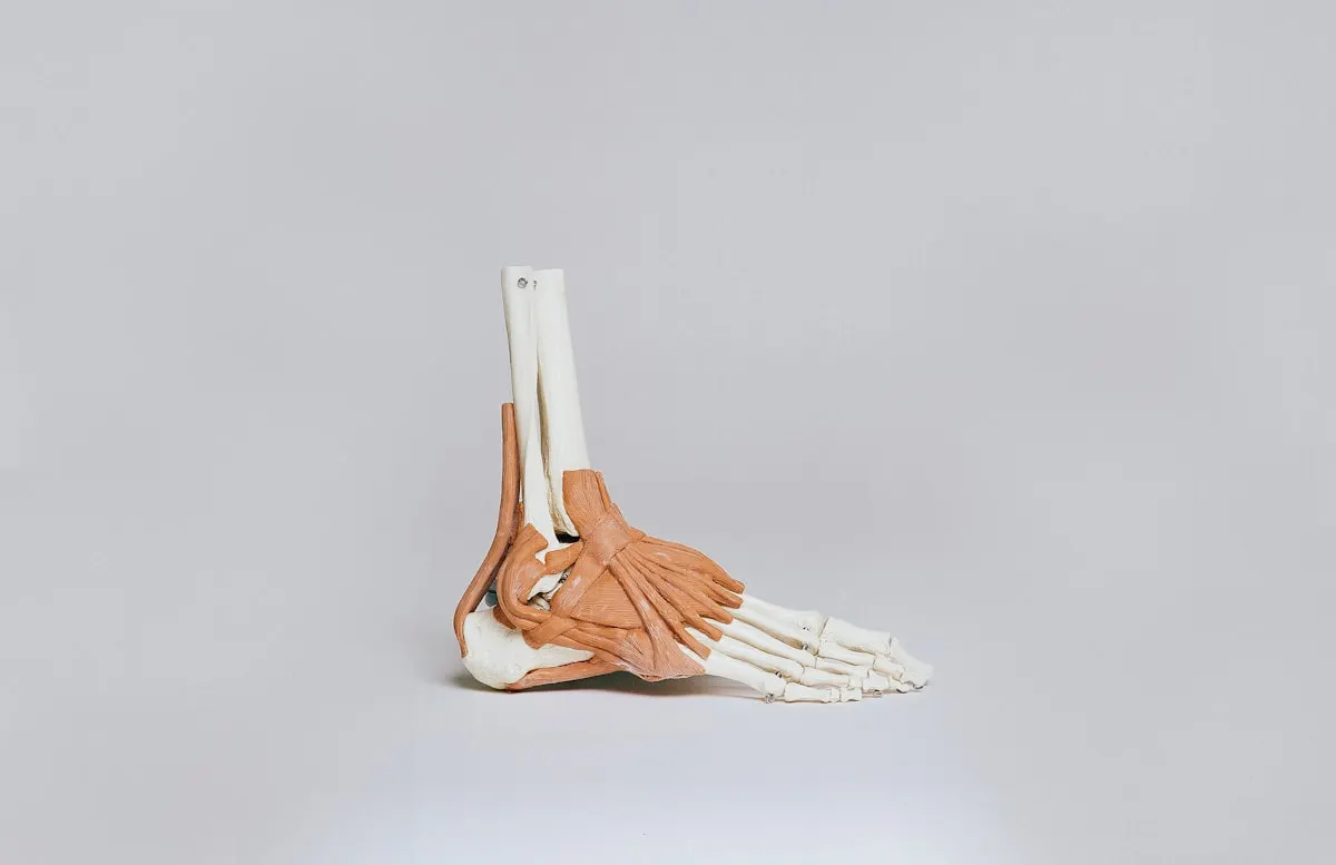 Support & Bracing Products